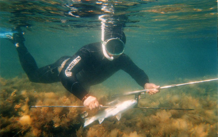 Подводная охота, Маврикий