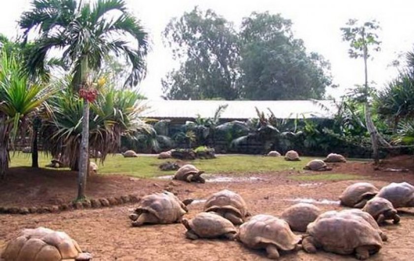 Зоопарк на Маврикии